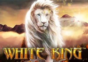 White King PlayTech